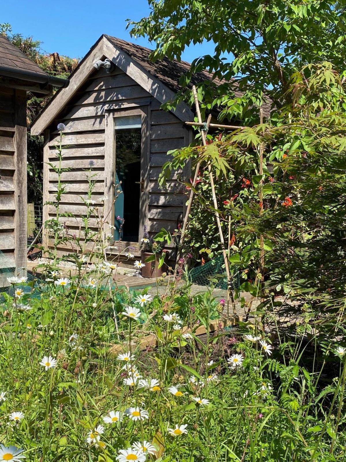 The Tool Shed Nestled In Idyllic Countryside Βίλα Linchmere Εξωτερικό φωτογραφία