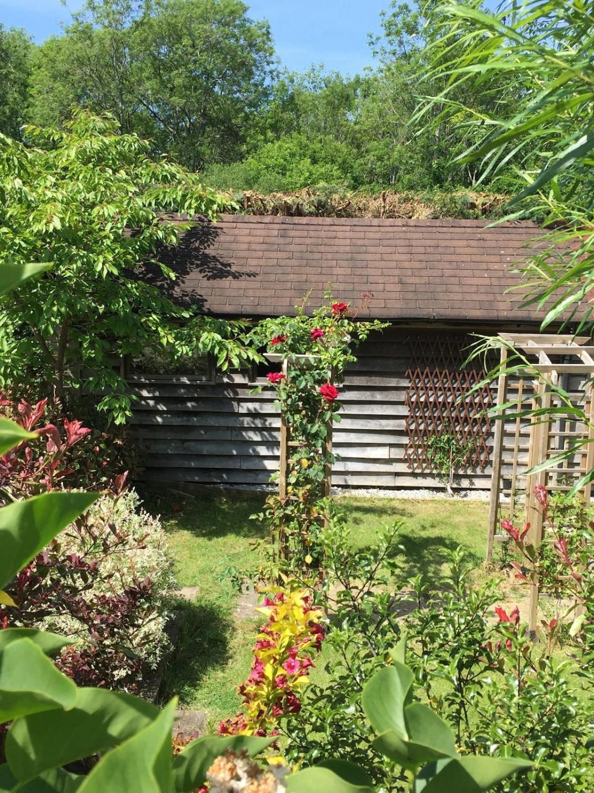 The Tool Shed Nestled In Idyllic Countryside Βίλα Linchmere Εξωτερικό φωτογραφία