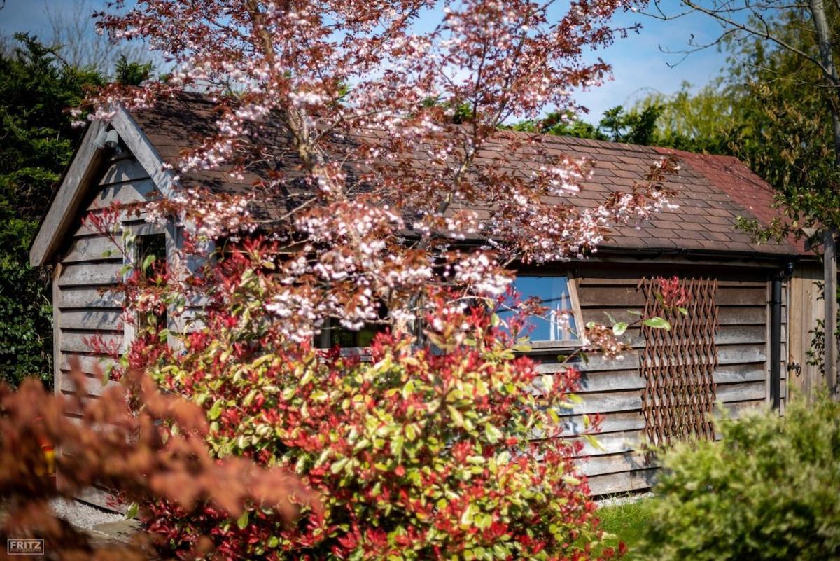 The Tool Shed Nestled In Idyllic Countryside Βίλα Linchmere Εξωτερικό φωτογραφία