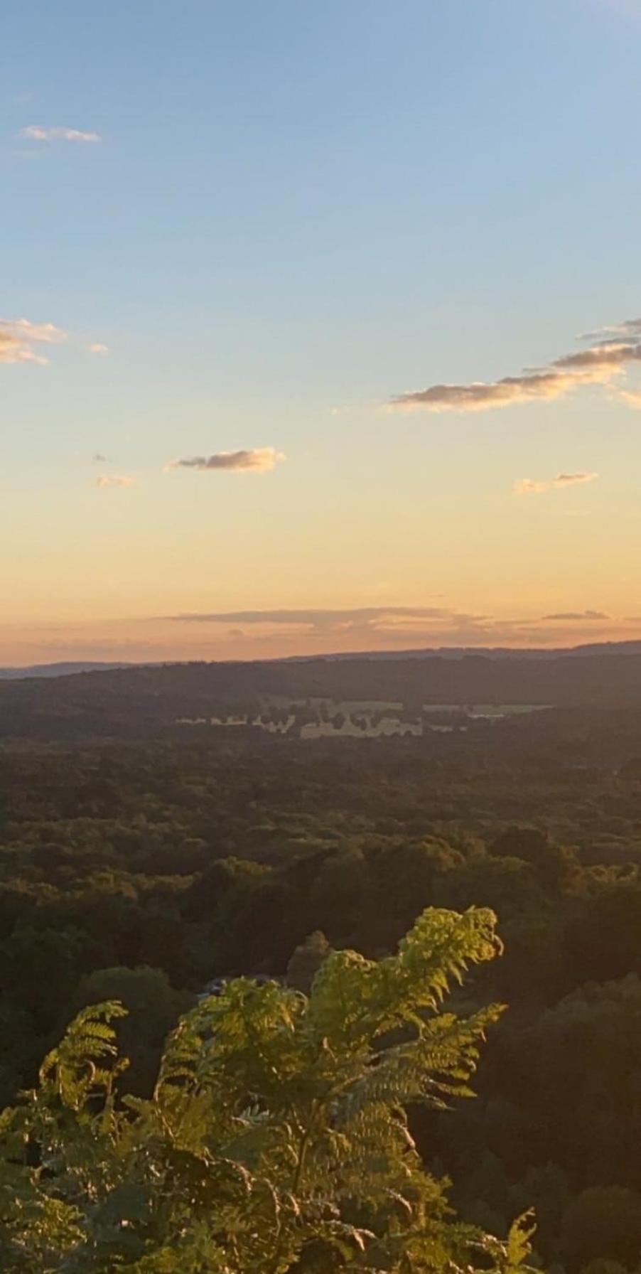 The Tool Shed Nestled In Idyllic Countryside Βίλα Linchmere Εξωτερικό φωτογραφία